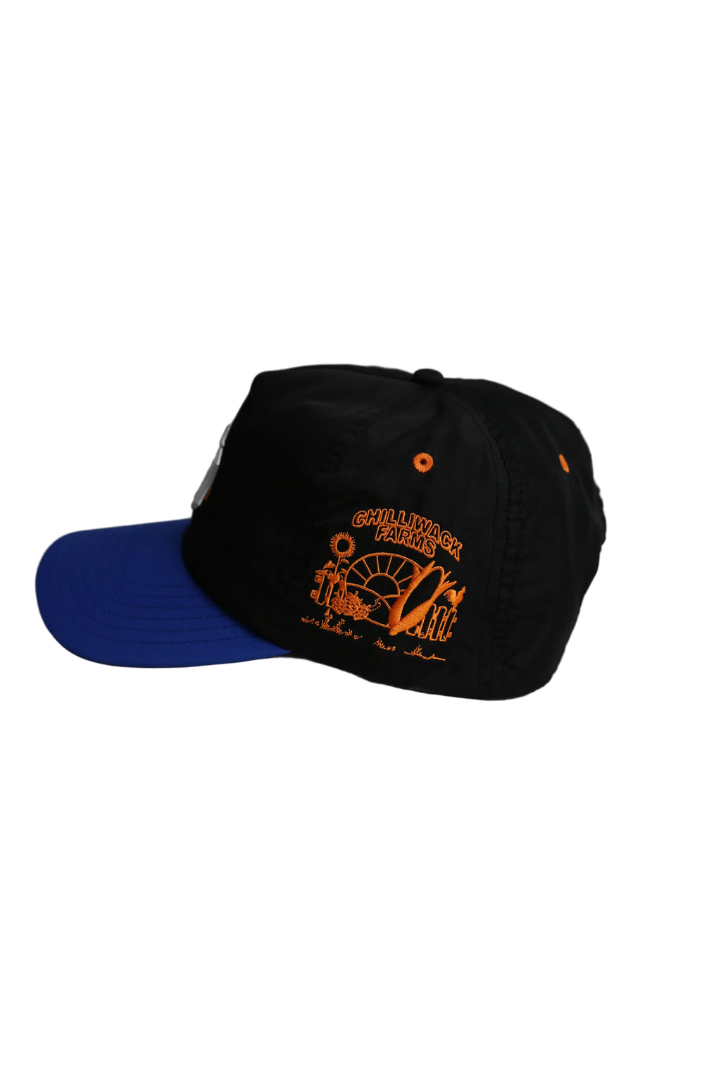 Big Apple Hat Black/Blue